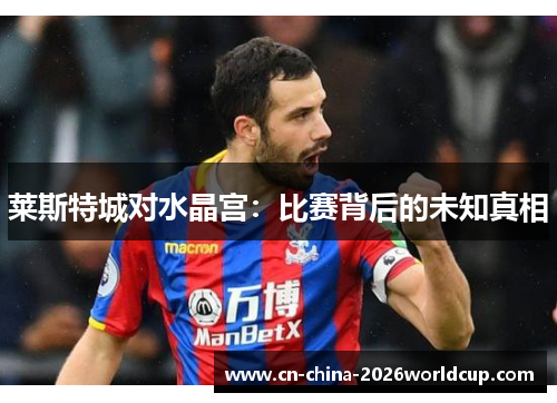 莱斯特城对水晶宫：比赛背后的未知真相